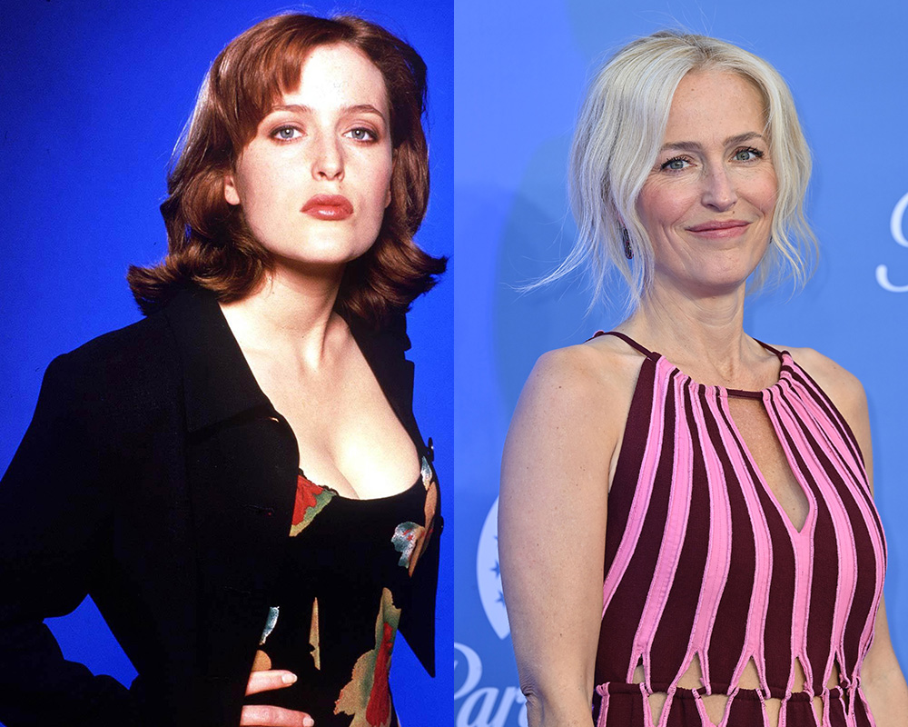 amey tran recommends gillian anderson nuda pic