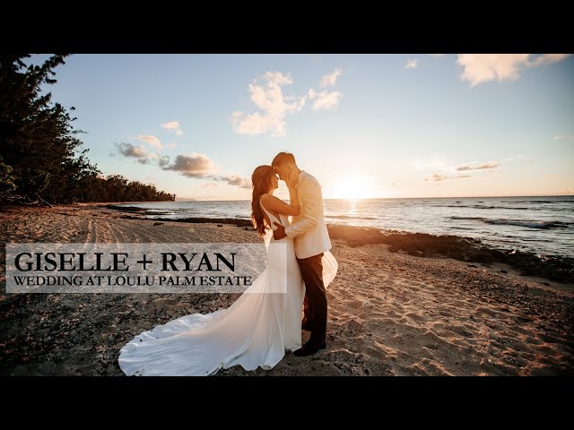 ahmed souliman recommends giselle ryan pic