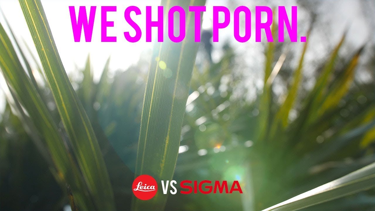 chris dykstra recommends sigma porn pic