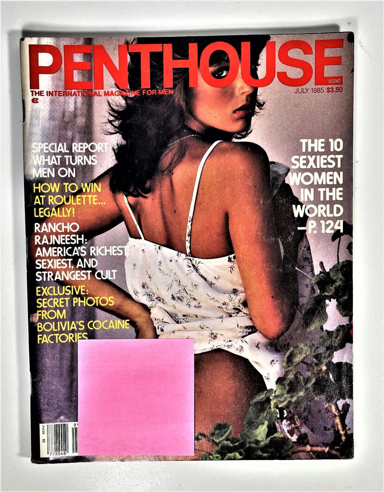 craig gornall recommends Sexiest Penthouse Pets