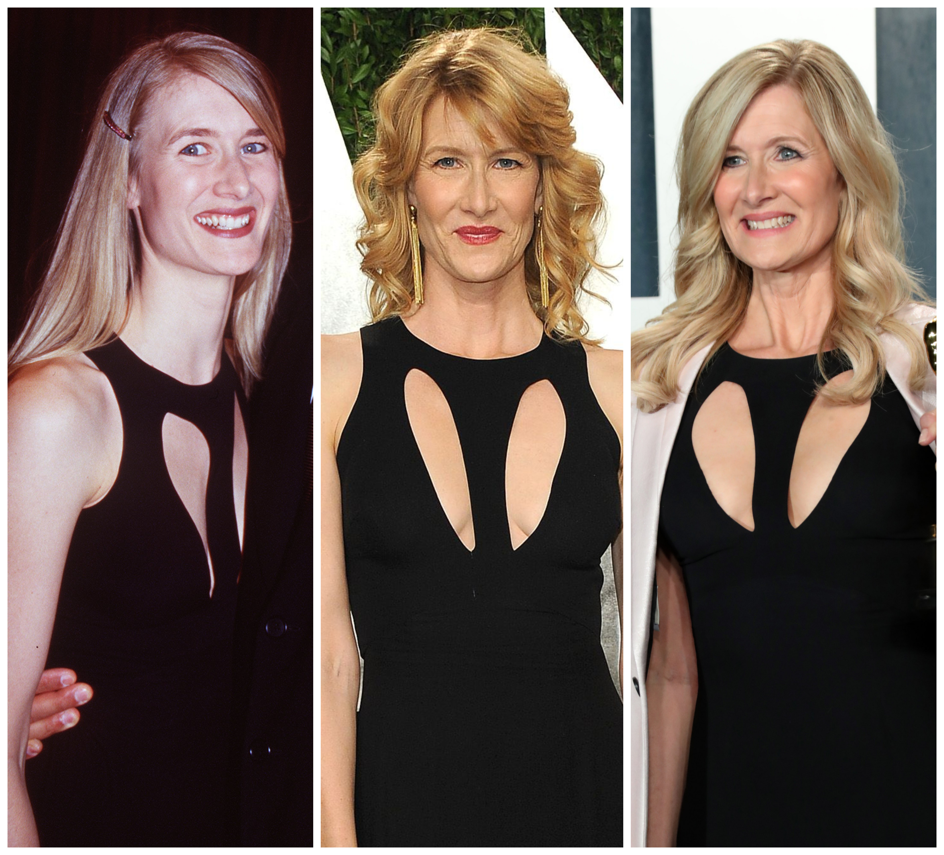 alex gaertner recommends Laura Dern In Bikini