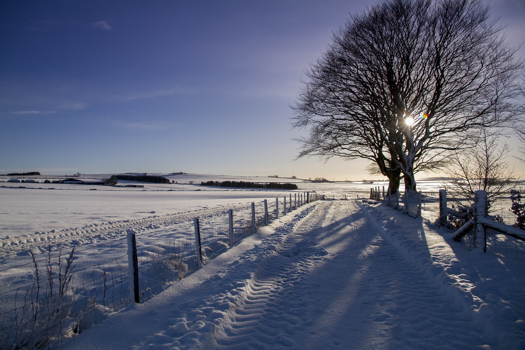 barry smeltzer recommends Snow So Icy