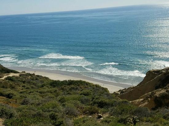 fat naked beach