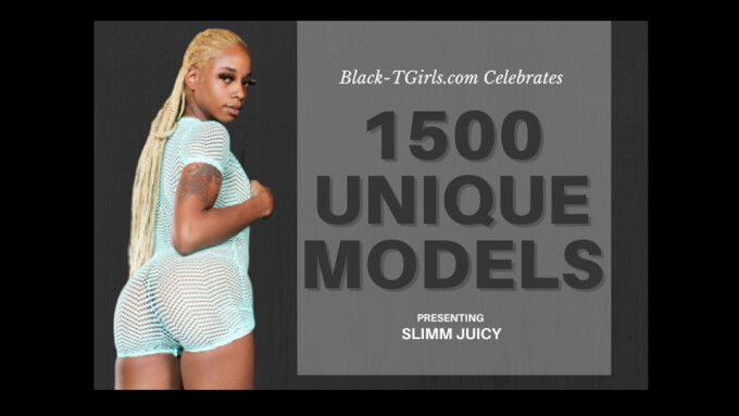 new black tgirls