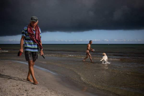 cameron mcbain recommends nudists having fun pic