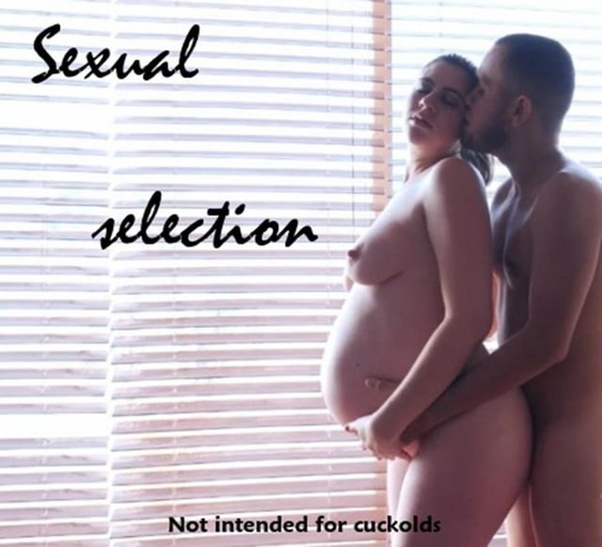 char chaney recommends pregnant by cuckold pic