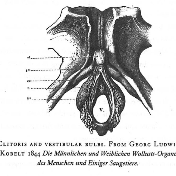 andrea lee barnes recommends Big African Clitoris