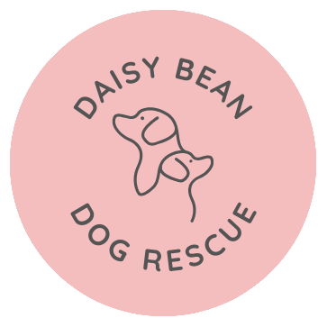 alexander jacob rogers recommends daisy bean pic