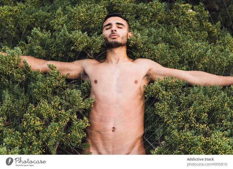 davis perry add naked in bush photo