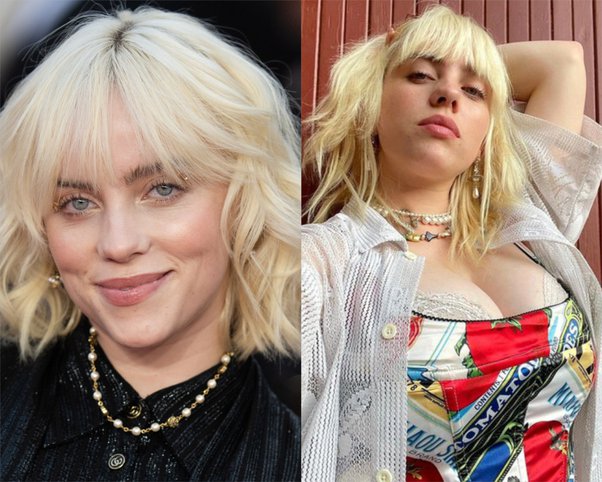 ciera turner recommends billie eilish tits nude pic