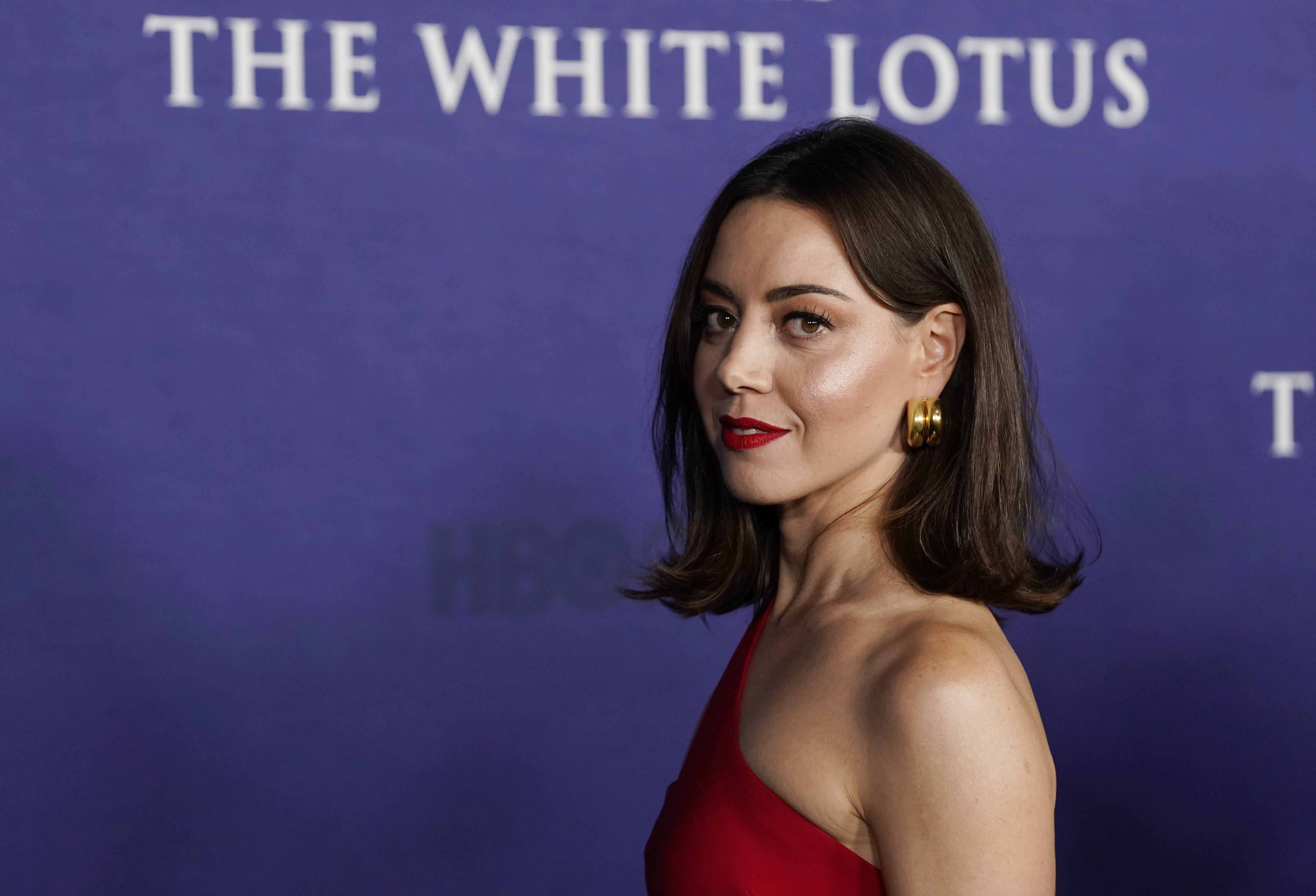 aubrey plaza masterbates