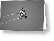 anoop sahota add photo skyy black and butterfly