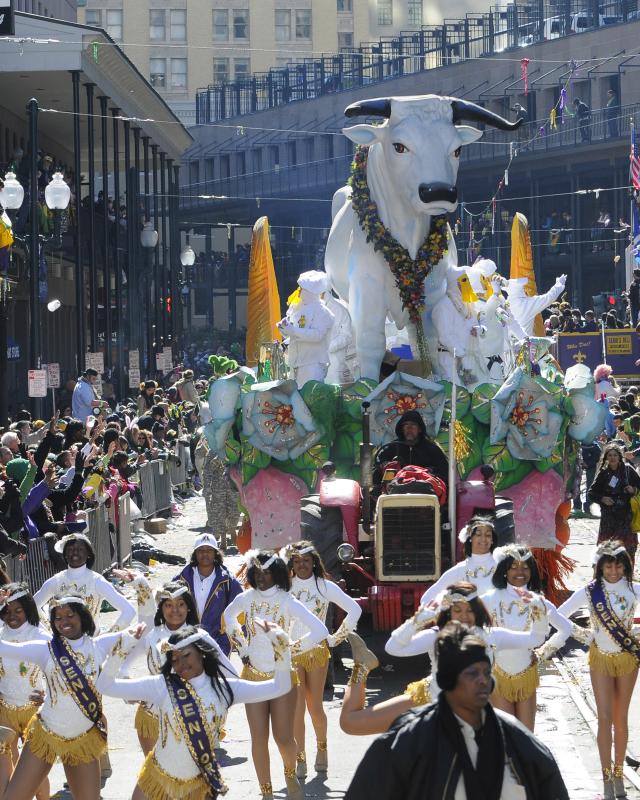 becky davids add photo mardi gras 2023 flashing