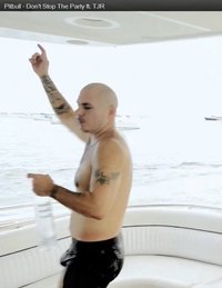 pitbull nude