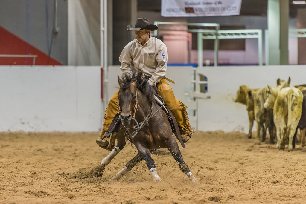 bashar hammouri add clit riding photo