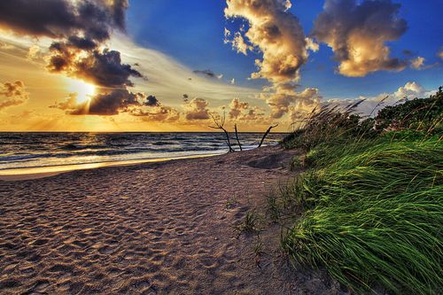 aileen loh recommends best beach porn pic