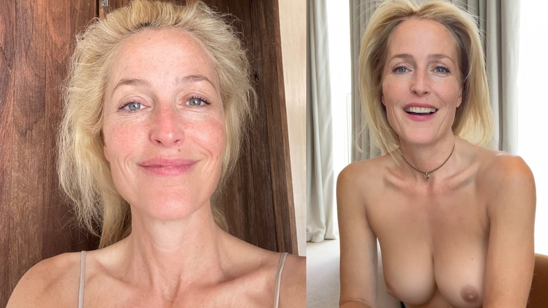 bernie huber recommends Gillian Anderson Pictures Nude