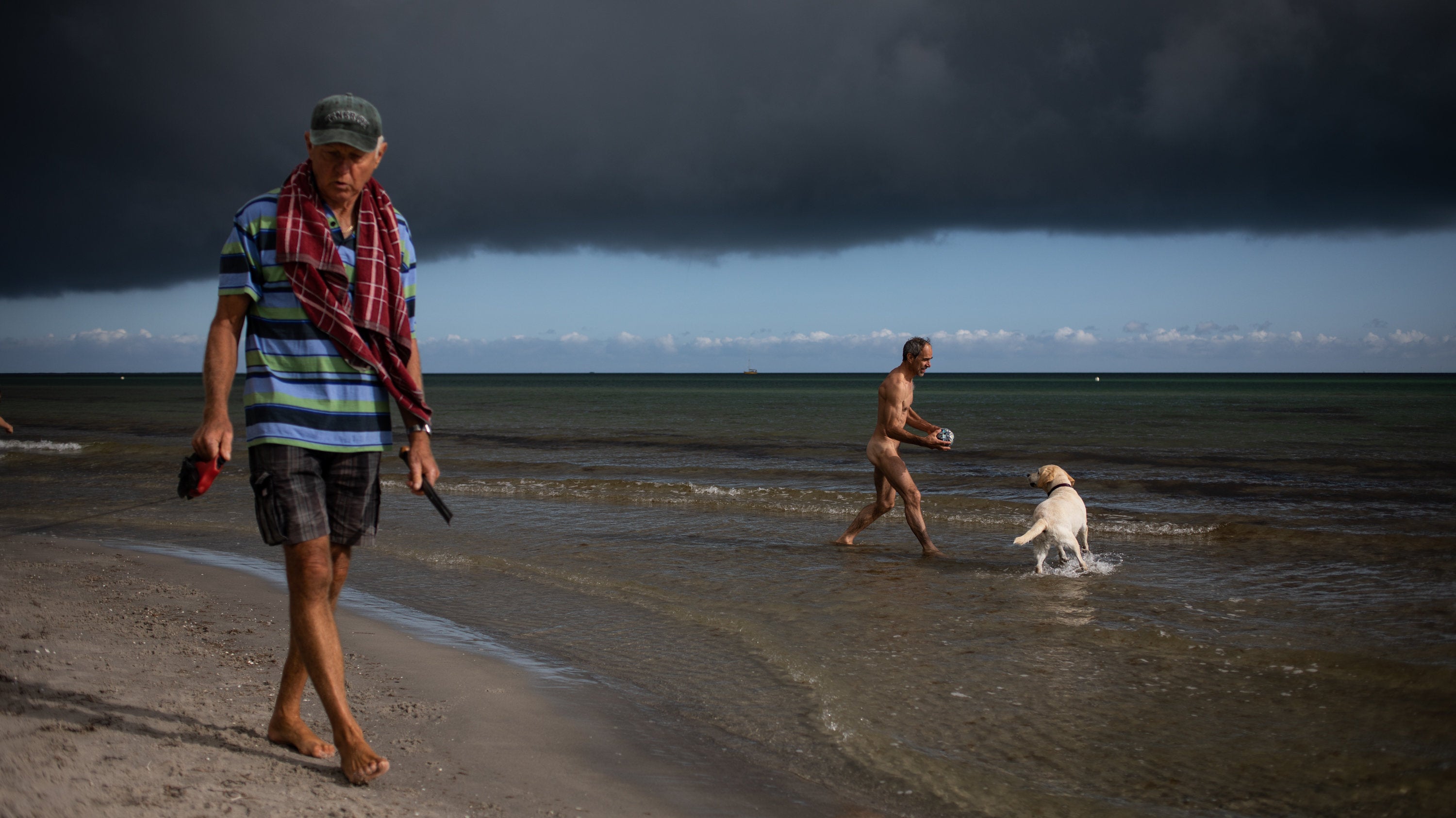 andrea aleksic recommends nudists walking pic