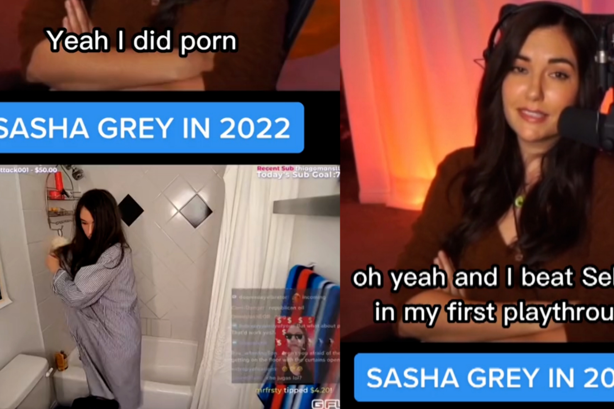 david busted add sasha gray video photo