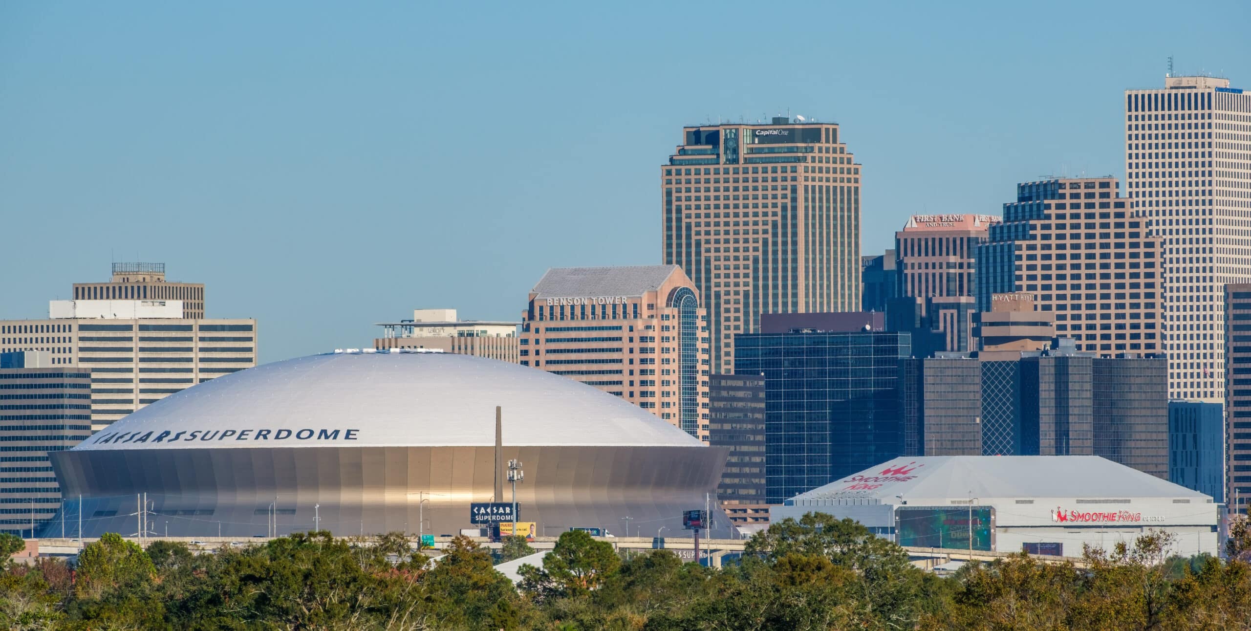 char lottie add ms superdome photo