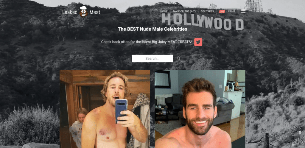 donna marquardt recommends celeb live cam pic