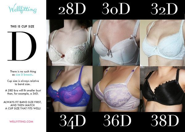 dan pasquarelli recommends 36d breasts pic