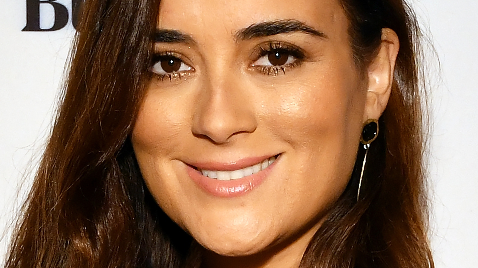 amy muir recommends Cote De Pablo In The Nude