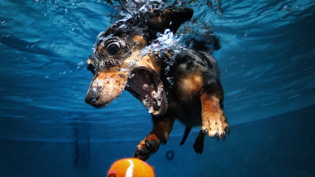 buddy josef recommends Rachel Rivers Underwater