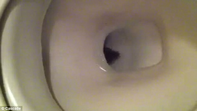 aaron michael phillips add hidden cam in toilet bowl photo