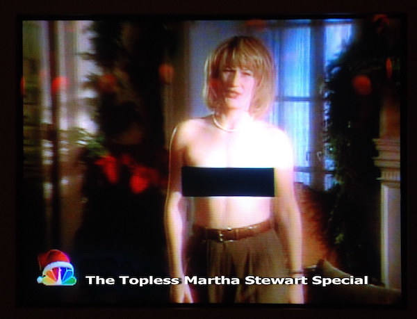 martha stewart nude pictures