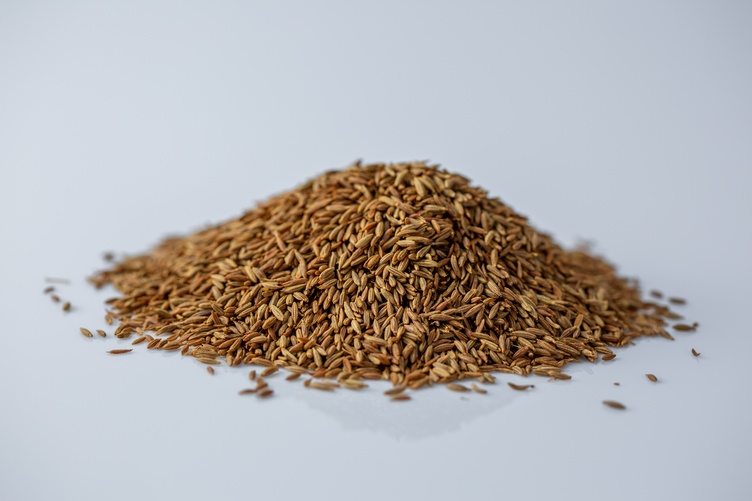 andrea rounds recommends Cumin In Mouth