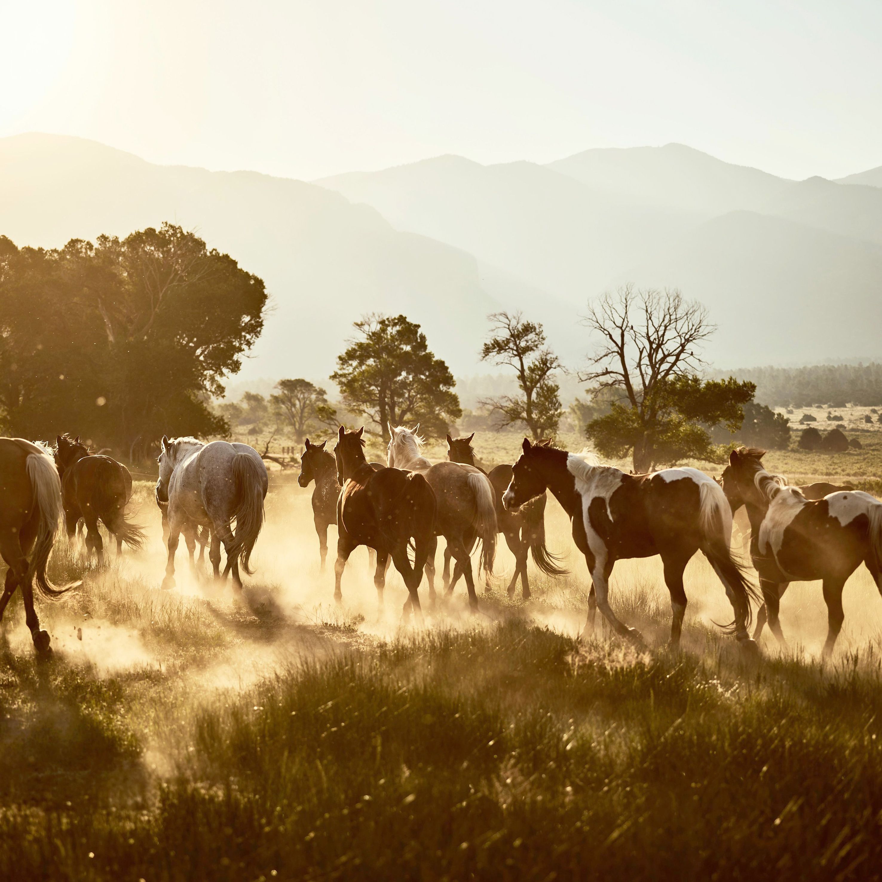 clayton carruth share ranch porn photos