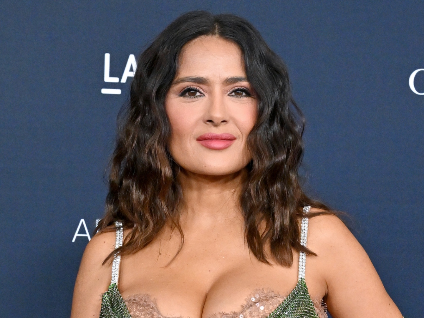 david sakafu add photo salma hayek porm