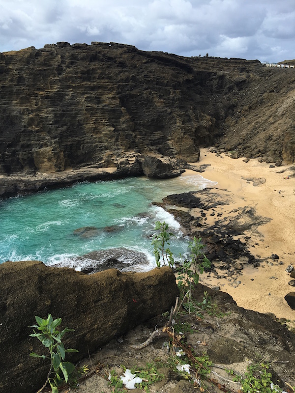 darryl dowe add photo leila cove