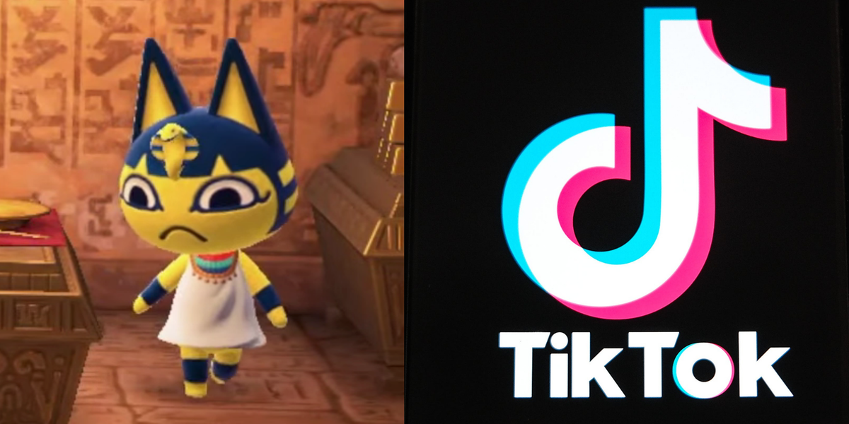 cody minard recommends ankha porn vid pic