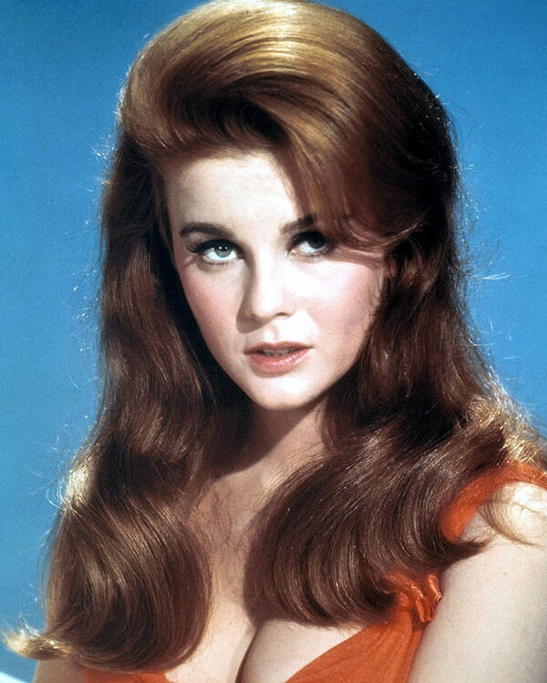 brad walski recommends Ann Margret Toppless