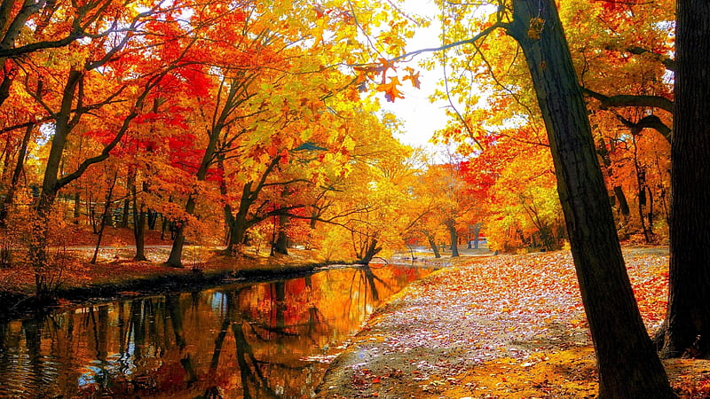 bruce curley share autumn falls hd photos