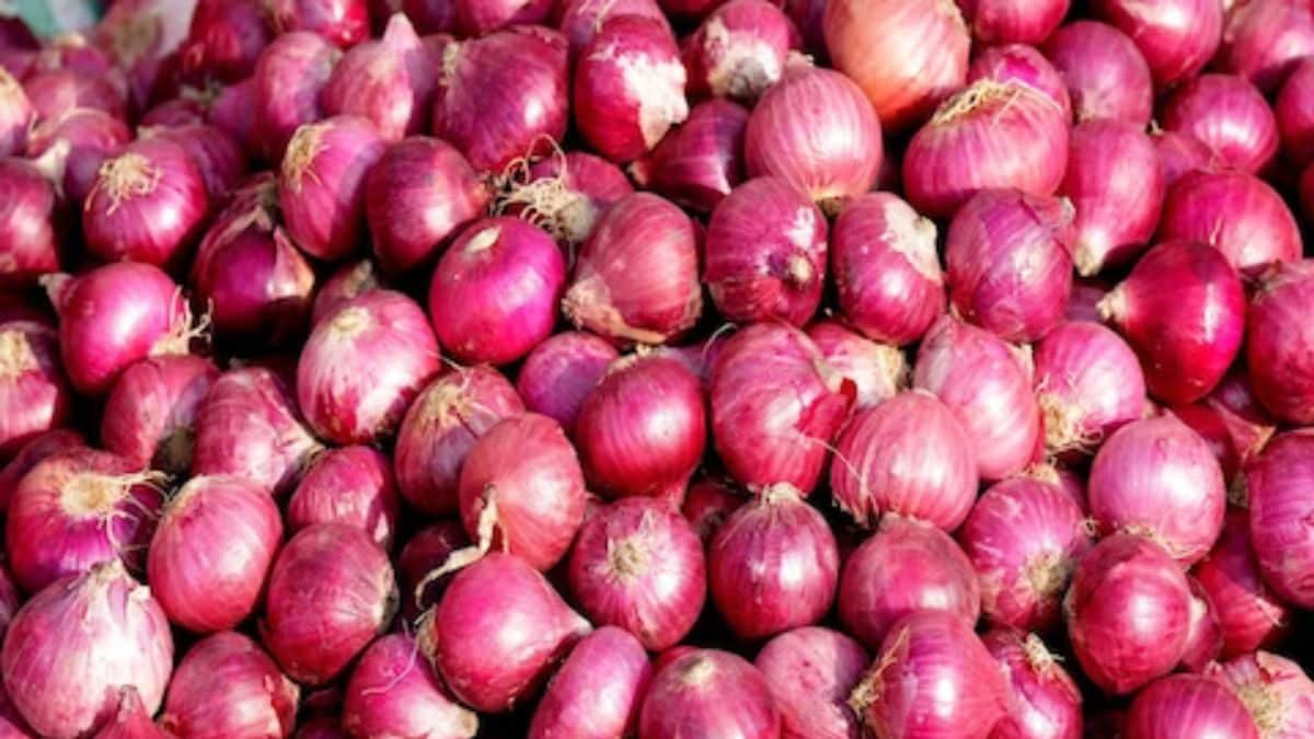 cici faramida recommends onion nooty pic