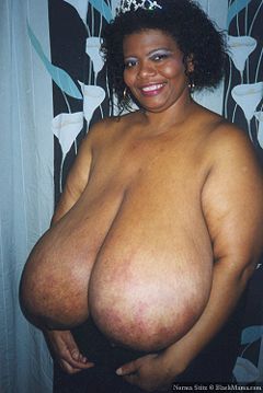 cut maula diana recommends Norma Stitz Tits