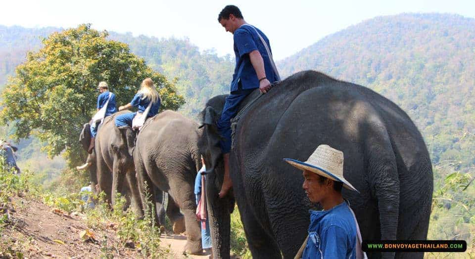 chelsea easterling recommends bareback in thailand pic