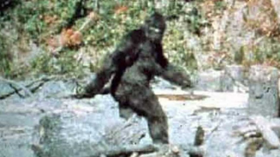 brian mofokeng recommends bigfoot with tits pic