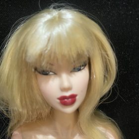 alex basu recommends Blonde Barbie Nude