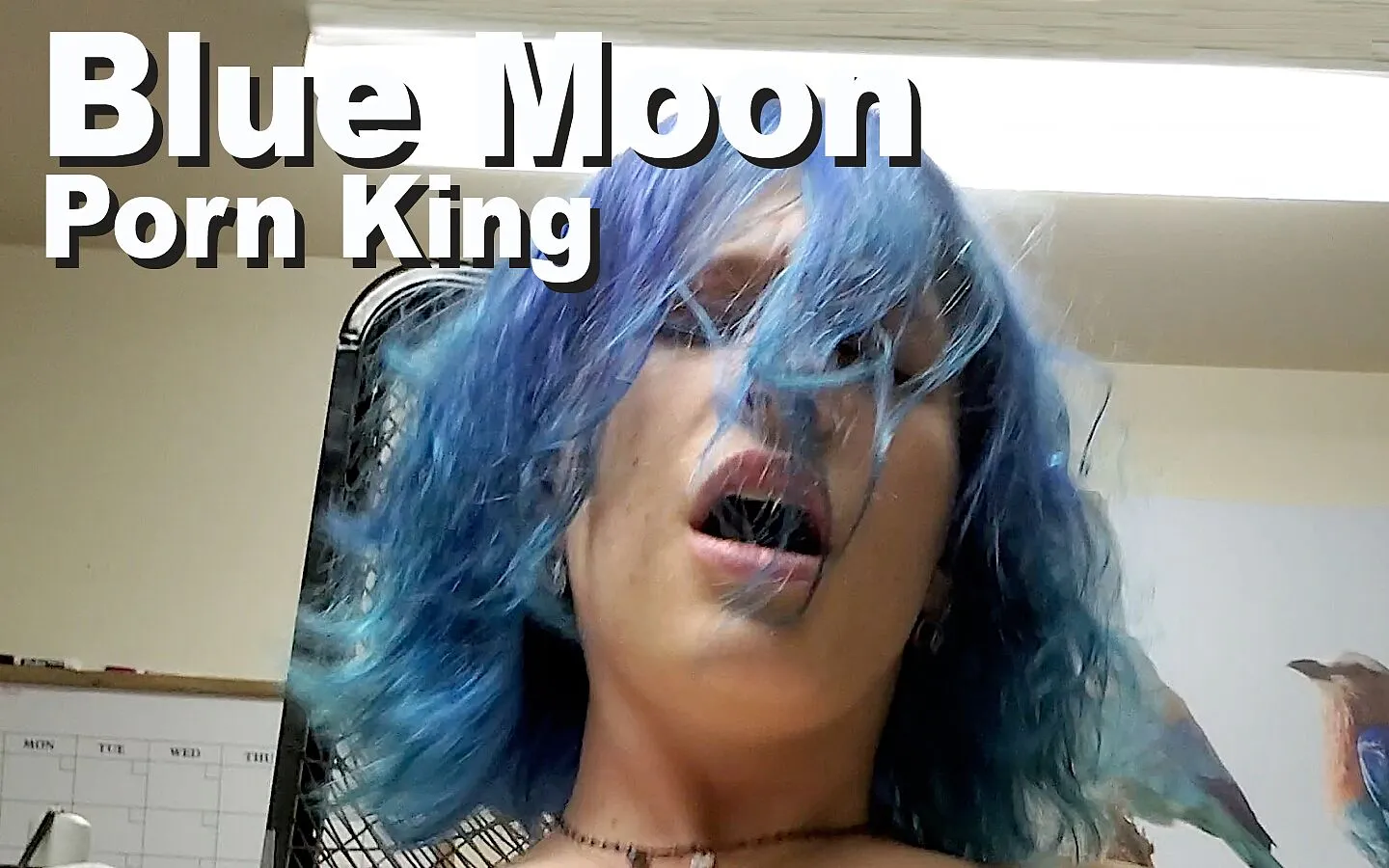 ad moore recommends Blue Moon Porn