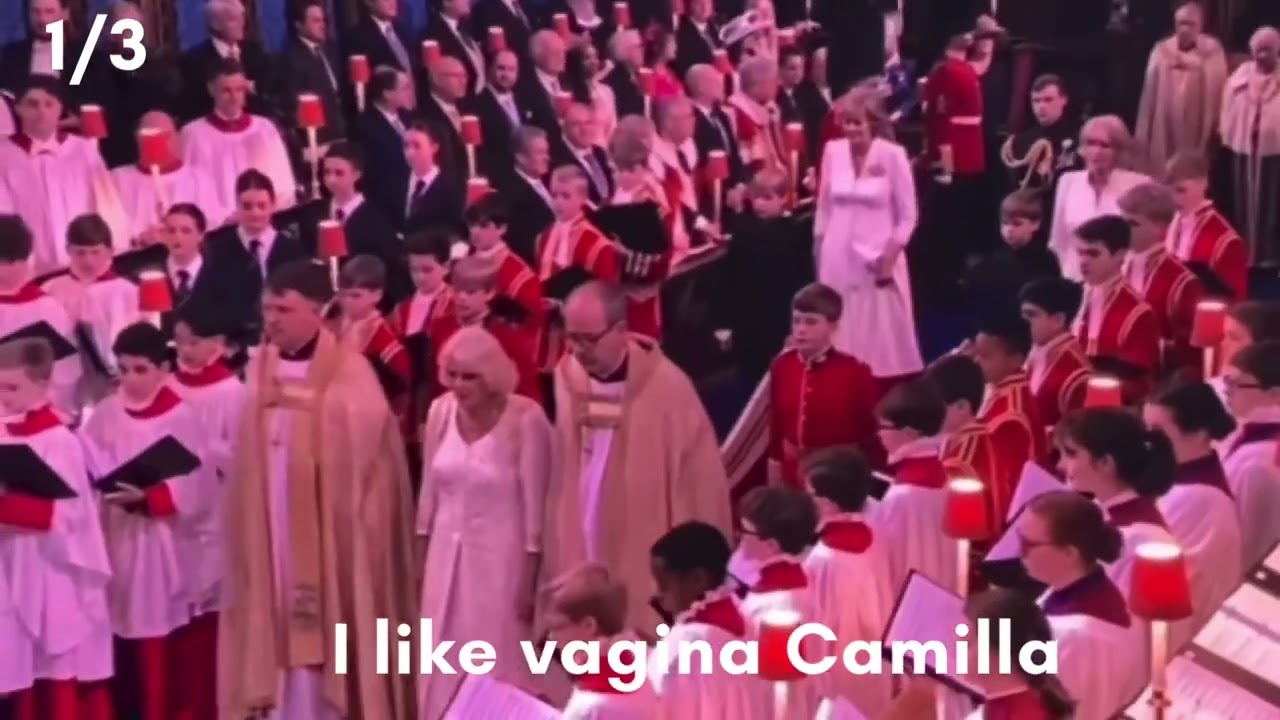 amee barnes recommends Vagina Camila