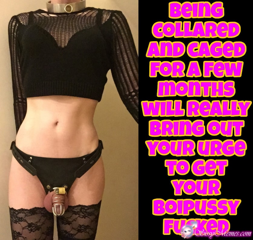 Chastity Porn Captions your brofriend