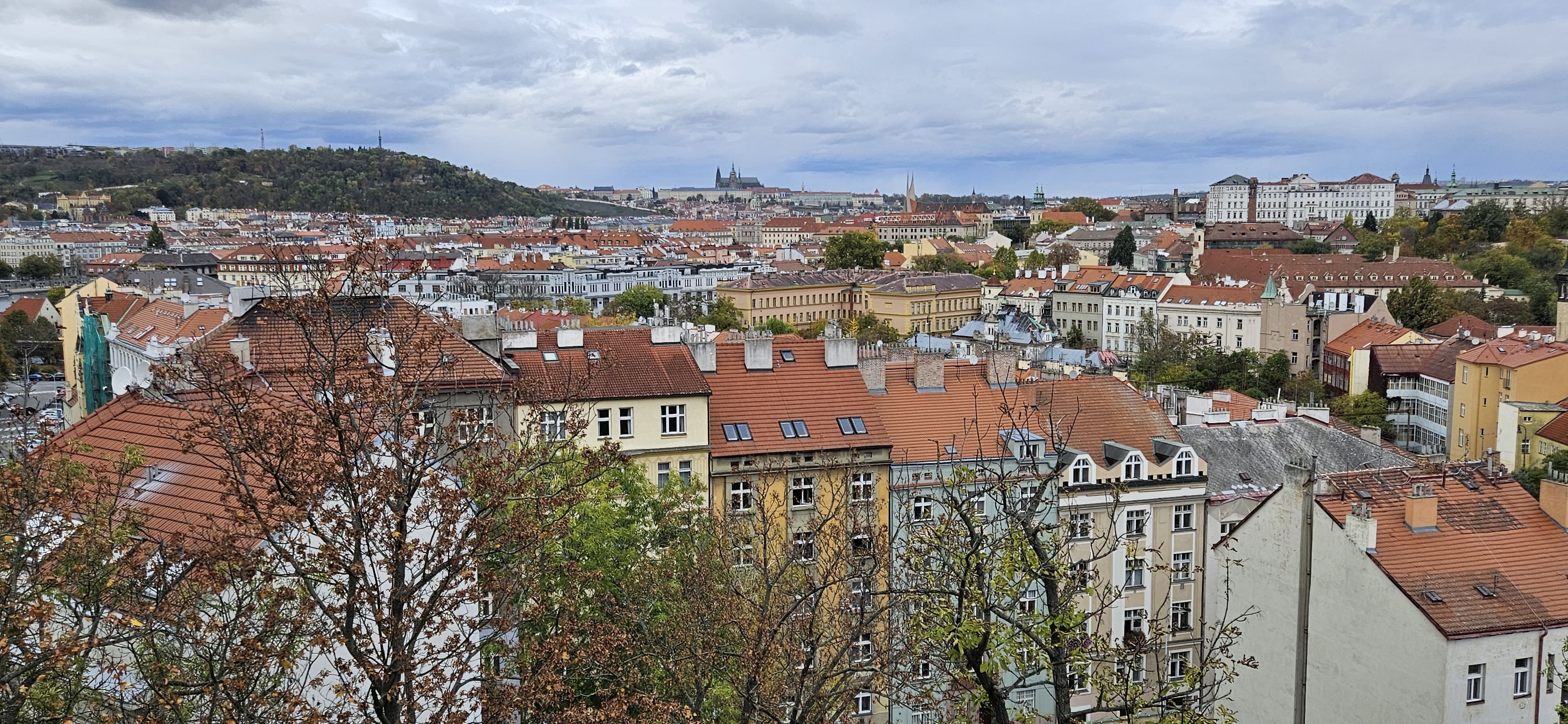 Best of Czech fake cab