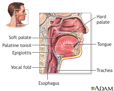 angelo nikitas recommends Big Tits Throat