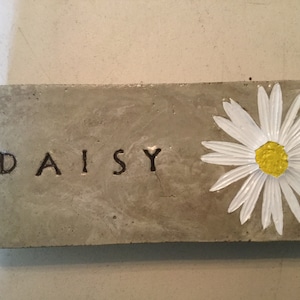 abdul kadir yousuf recommends Daisy Stone X