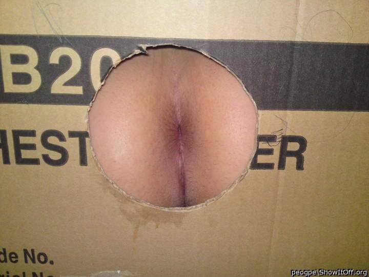 ann kieffer share glory hole butt photos