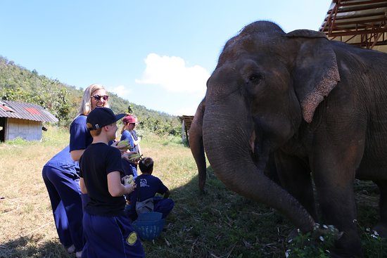 camille morel recommends bareback in thailand pic